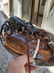 Ristorante astice a Novara